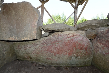 20250919saizon hidari.jpg(145243 byte)